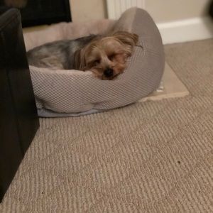 Meet your Posher, Kendall